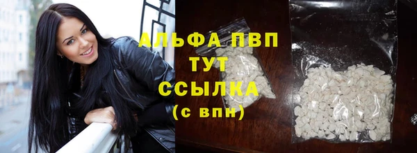 трава Новодвинск