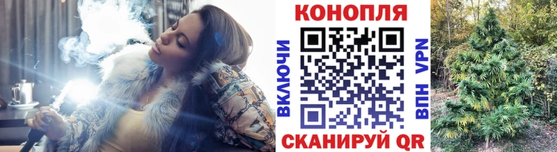 mega tor  Александровск-Сахалинский  Шишки марихуана сатива 